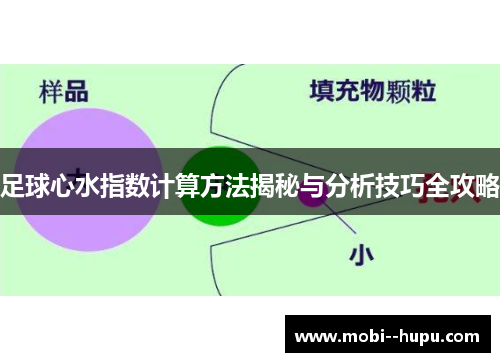 足球心水指数计算方法揭秘与分析技巧全攻略