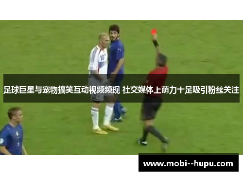 足球巨星与宠物搞笑互动视频频现 社交媒体上萌力十足吸引粉丝关注 足球巨星与宠物搞笑互动视频频现 社交媒体上萌力十足吸引粉丝关注