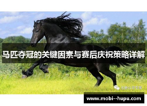 马匹夺冠的关键因素与赛后庆祝策略详解